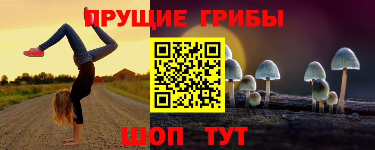 Псилоцибиновые грибы GOLDEN TEACHER  Вход с VPN  Белгород  Псилоцибиновые грибы Cubensis 